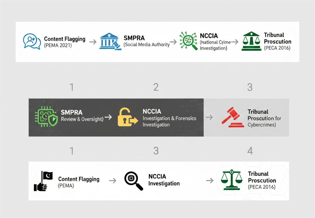  New Digital Regulatory Bodies