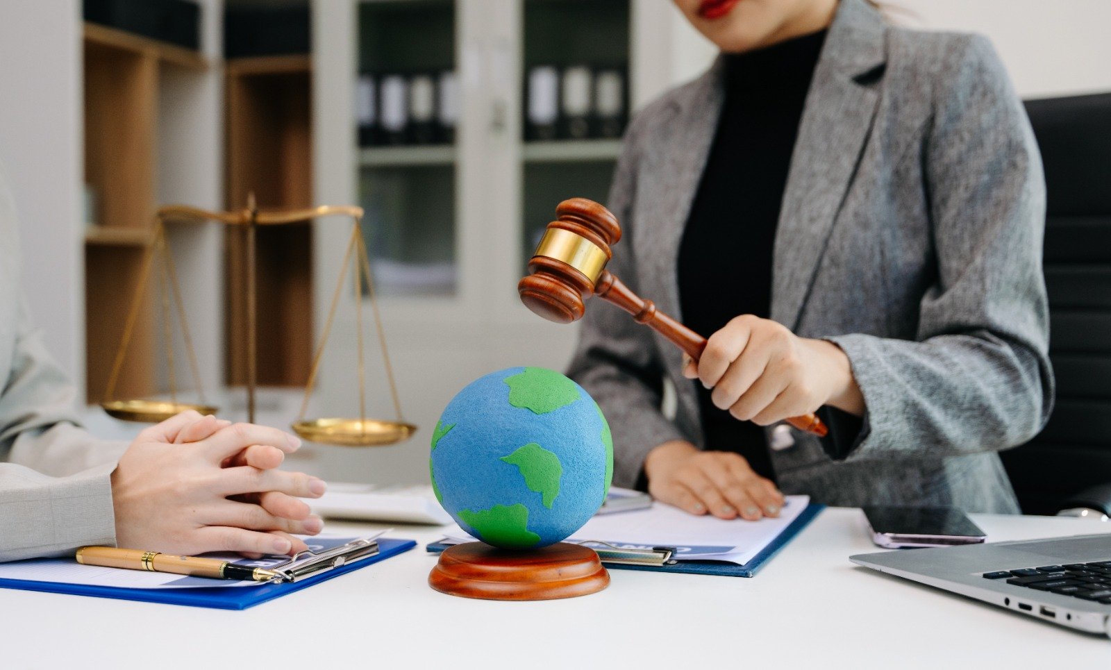 Intellectual Property Law